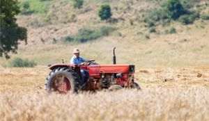 Farmers want students in practice, but they don't know what steps to take